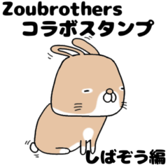 zoubrothers shibazou