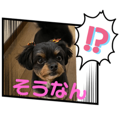 aoi_20210717114513