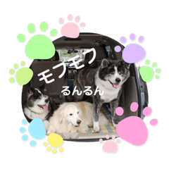 Yukari_20210717114156