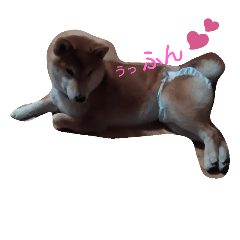 kuroandisaki