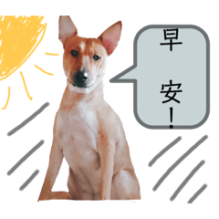 2021/7/15米克斯