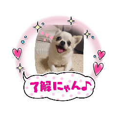 eririn_20210716234105