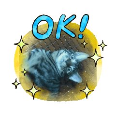 扣扣與小咚的快樂日常！