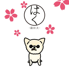 The dog of Kamata
