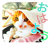 Love*Cat 2 Love*Cat 2