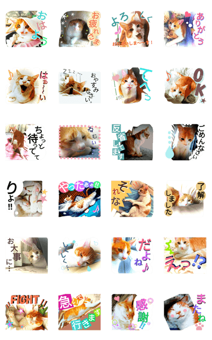 Love*Cat 2 Love*Cat 2