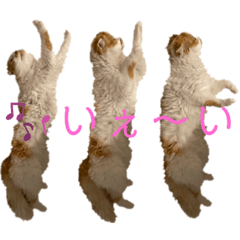 miki_20210717181555