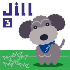 Energetic Toy Poodle Jill_vol.3