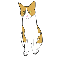 CHEESE CAT HOB