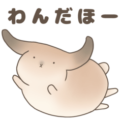 kotakota sweet