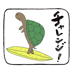 Positive words and turtles