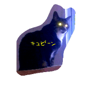 cat acchan