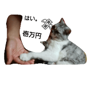 my neighbor toto
