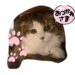 chie_20210717212233