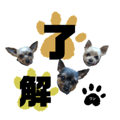 yuukiii_20210717212105