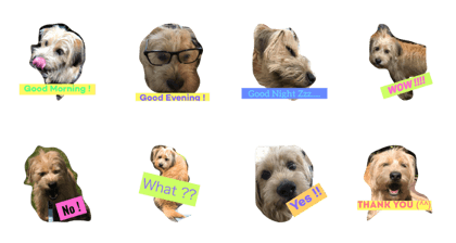 Dog's Greetings and Healing