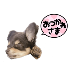 rei_20210717224728