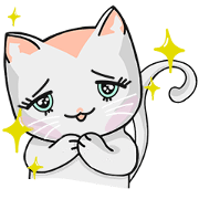 CHABBY cat (TH)