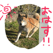 nekoinuwowow