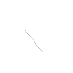 OUSUKE_20210718084211