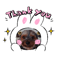 momoko_20210717165304