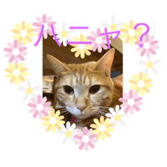 honey_20210717192426