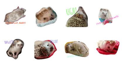 Poopy The Hedgehog