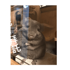 超值組總預算