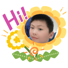 橘子貓的日常