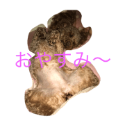 anechi