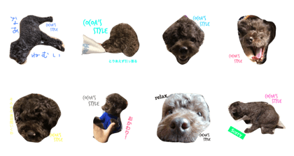 cocoa's style2