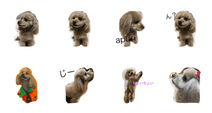 apuri