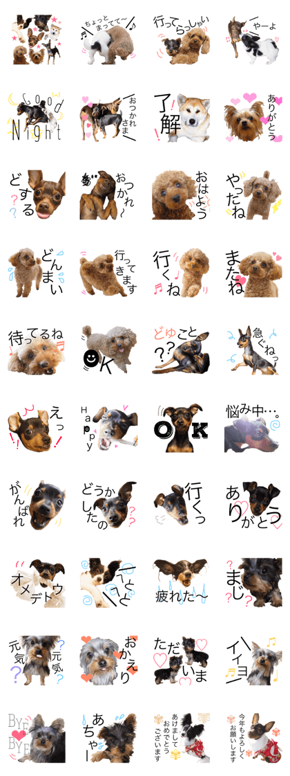 kamiyaDOG3