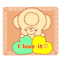 Toy Poodle Kotsubu_English edition ２