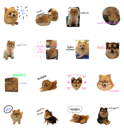 petpet2