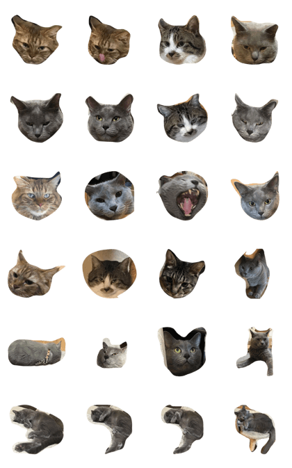 5catcatcatcatcat