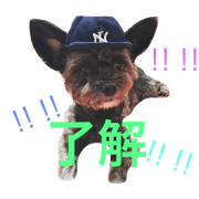 BOSSKUN