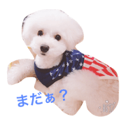 I love KOTARO