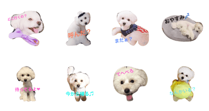 I love KOTARO