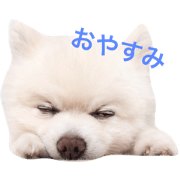 pomekun