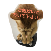 neconecobiyori.zoku.