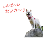 Qzo
