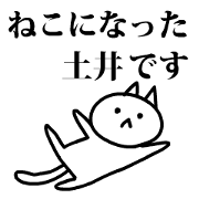 Neko no Doi