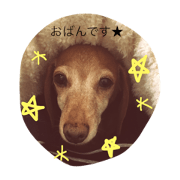 choco FUKUSIMA