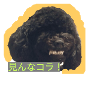 kyouken