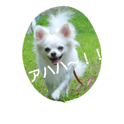 My choco 2