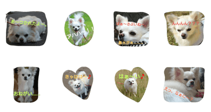 My choco 2
