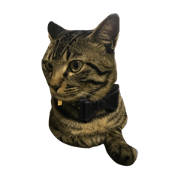 nyan-suke