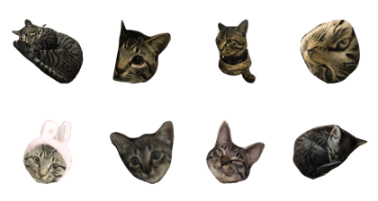 nyan-suke