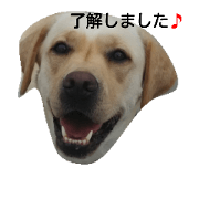 lilylob